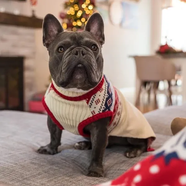Blueberry Pet Fair Isle Dog Sweater Cream White