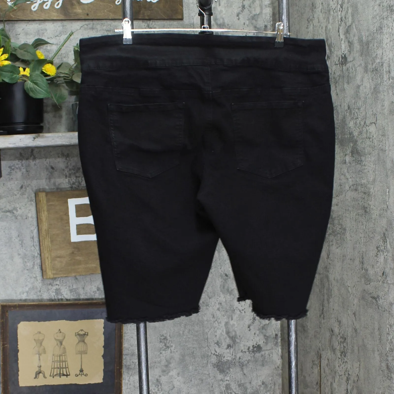 DG2 by Diane Gilman Plus Size Frayed Pull On Denim Bermuda Shorts Black 2X