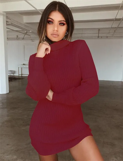 Knitted Lantern Sleeve Pullover Turtleneck Dress