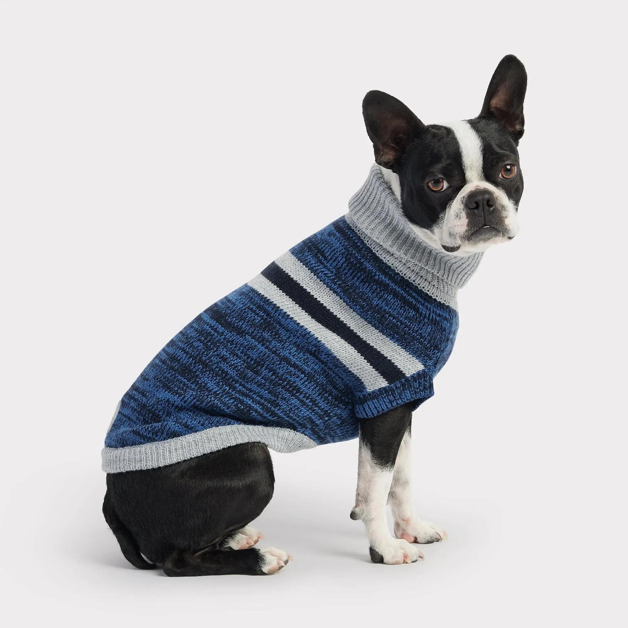 Trekking Dog Sweater | Blue
