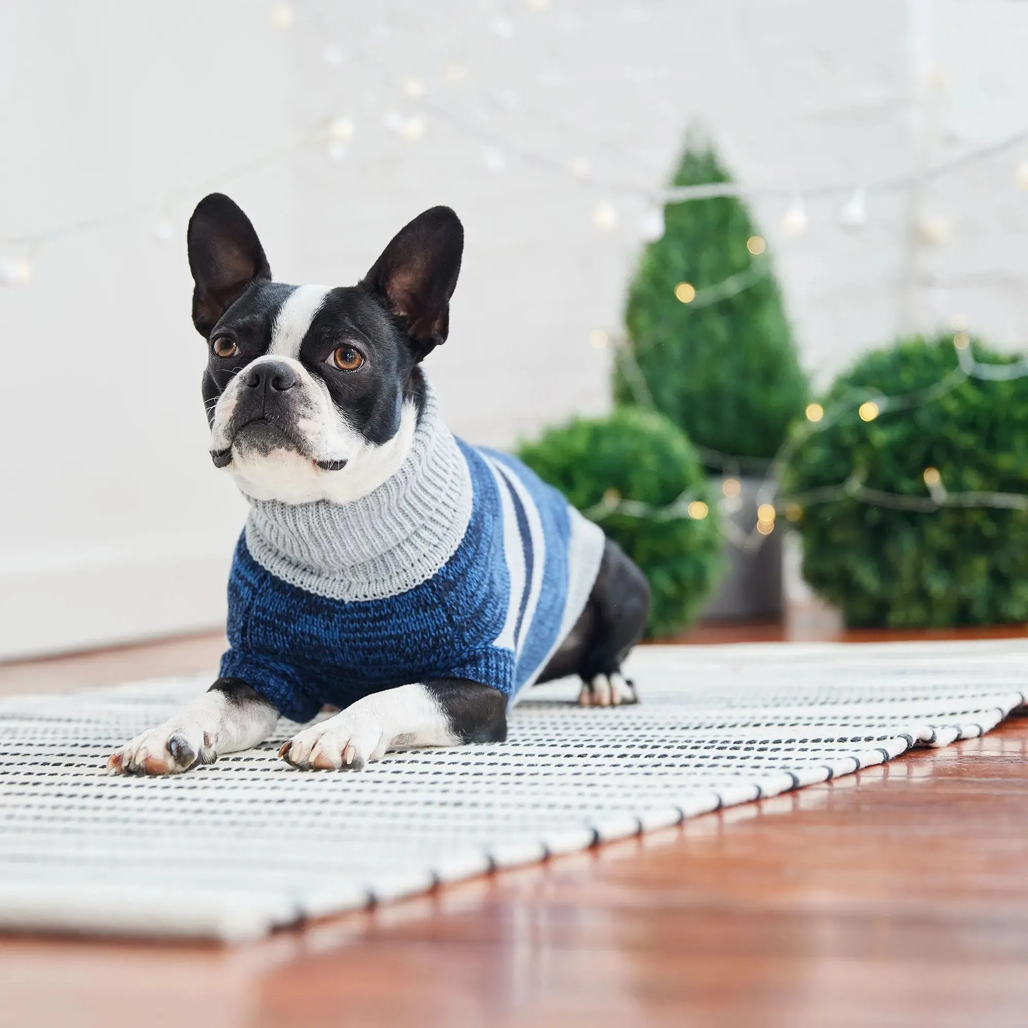 Trekking Dog Sweater | Blue