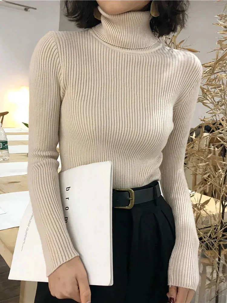 Turtleneck Sweater Women's 2024 Autumn Winter Tops