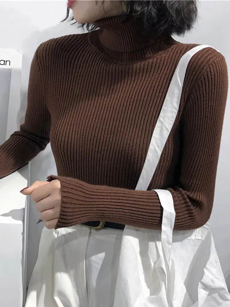 Turtleneck Sweater Women's 2024 Autumn Winter Tops