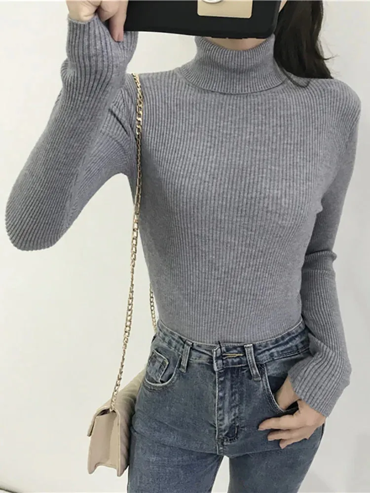 Turtleneck Sweater Women's 2024 Autumn Winter Tops
