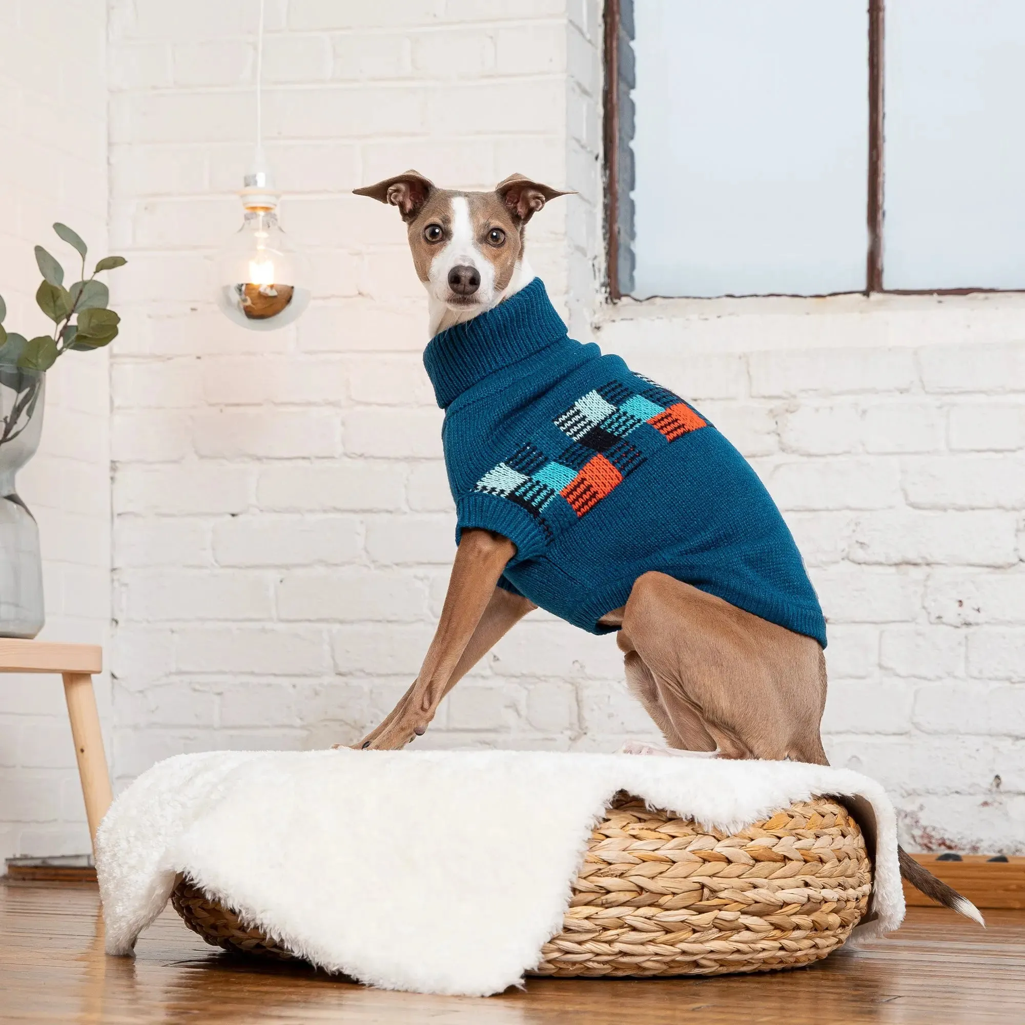 Winter Sailor Dog Sweater | Dark Blue
