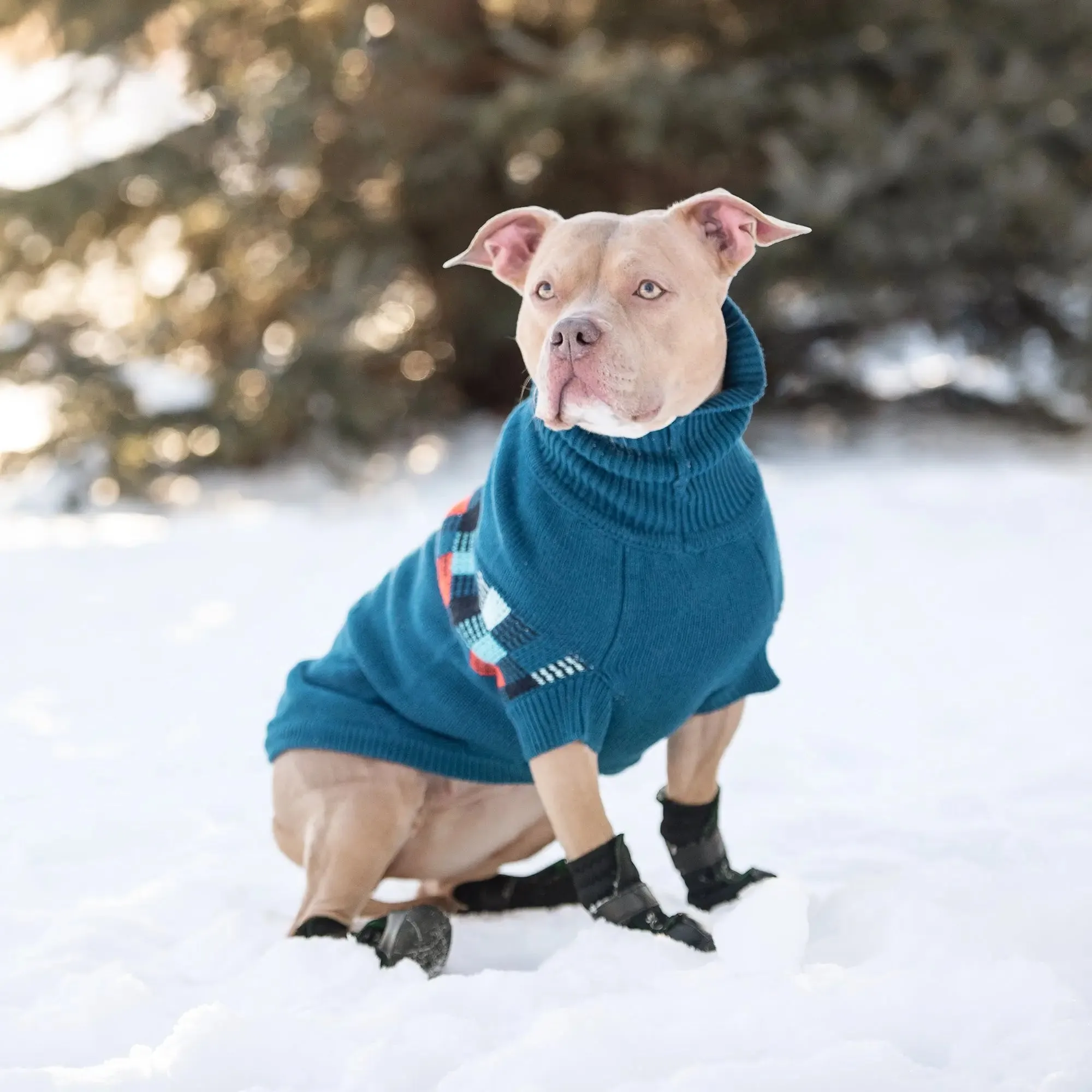 Winter Sailor Dog Sweater | Dark Blue