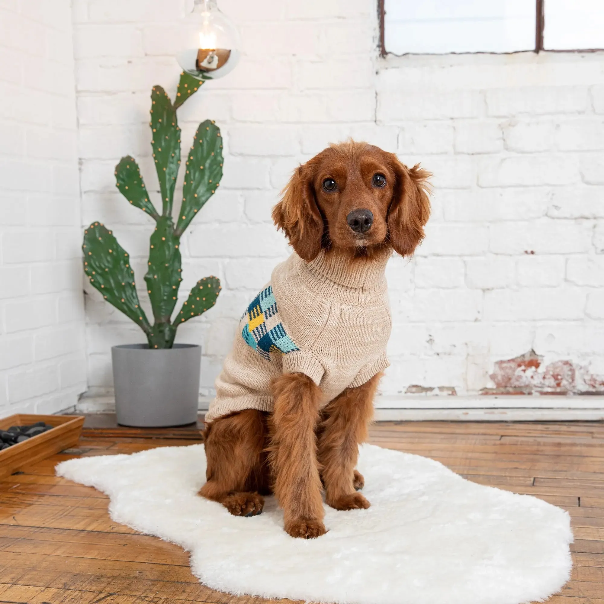 Winter Sailor Dog Sweater | Oatmeal Mix