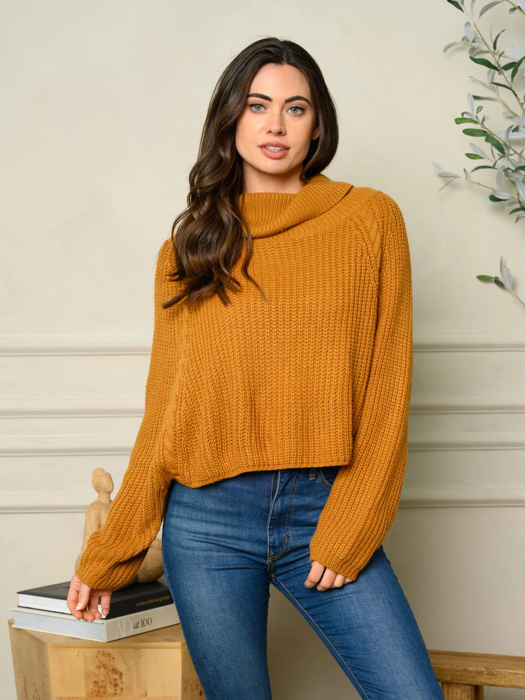 WOMEN'S LONG SLEEVE TURTLE NECK SWEATER